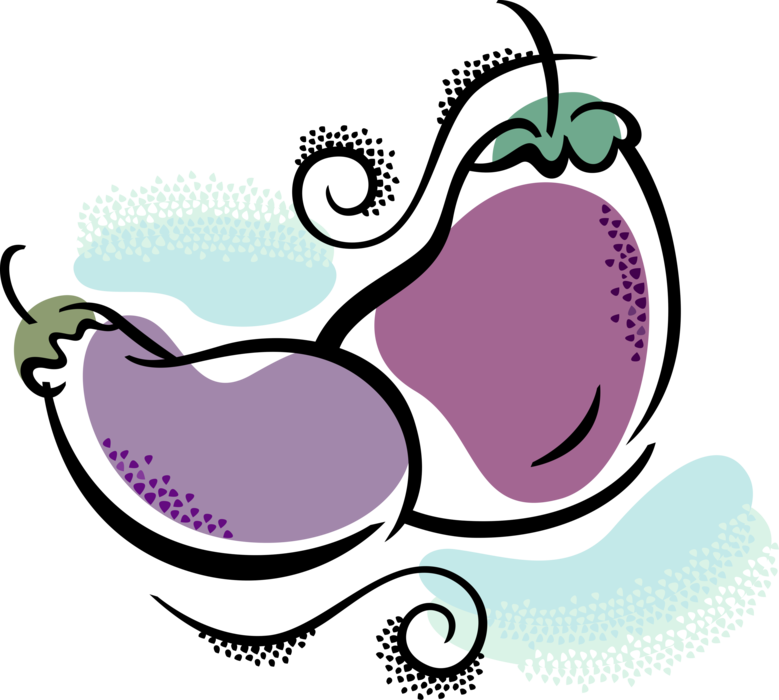 Vector Illustration of Eggplant Aubergine Nightshade Edible Vegetable