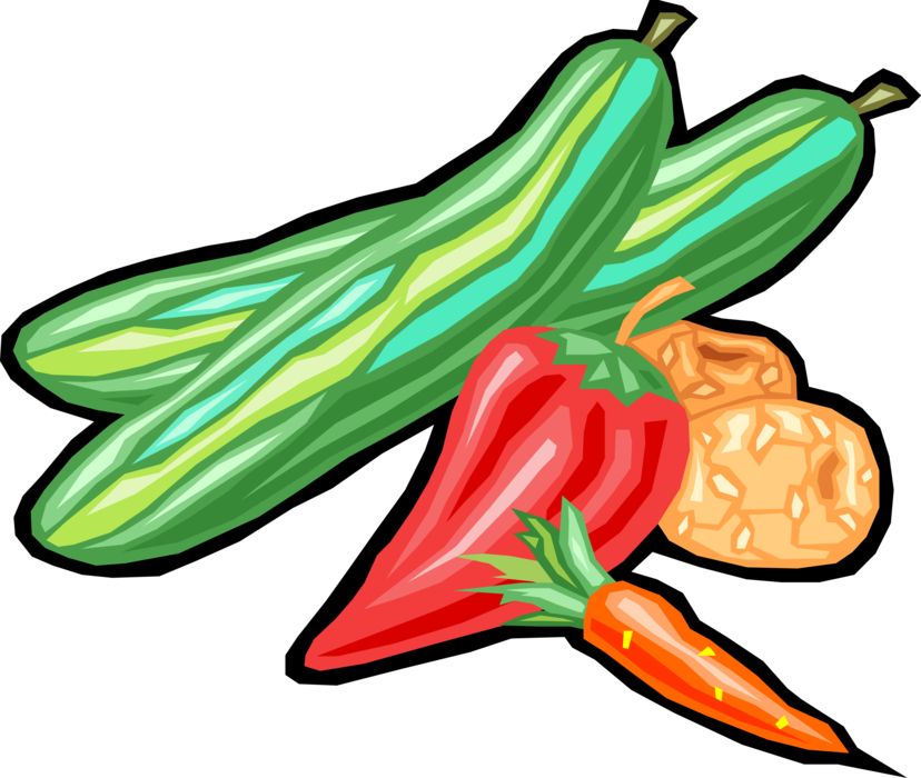 Vector Illustration of Assorted Vegetables Cucumber, Pepper, Carrot and Potatoes