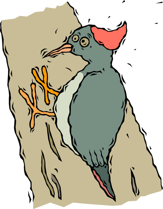 Vector Illustration of North American Red-Headed Pileated Woodpecker