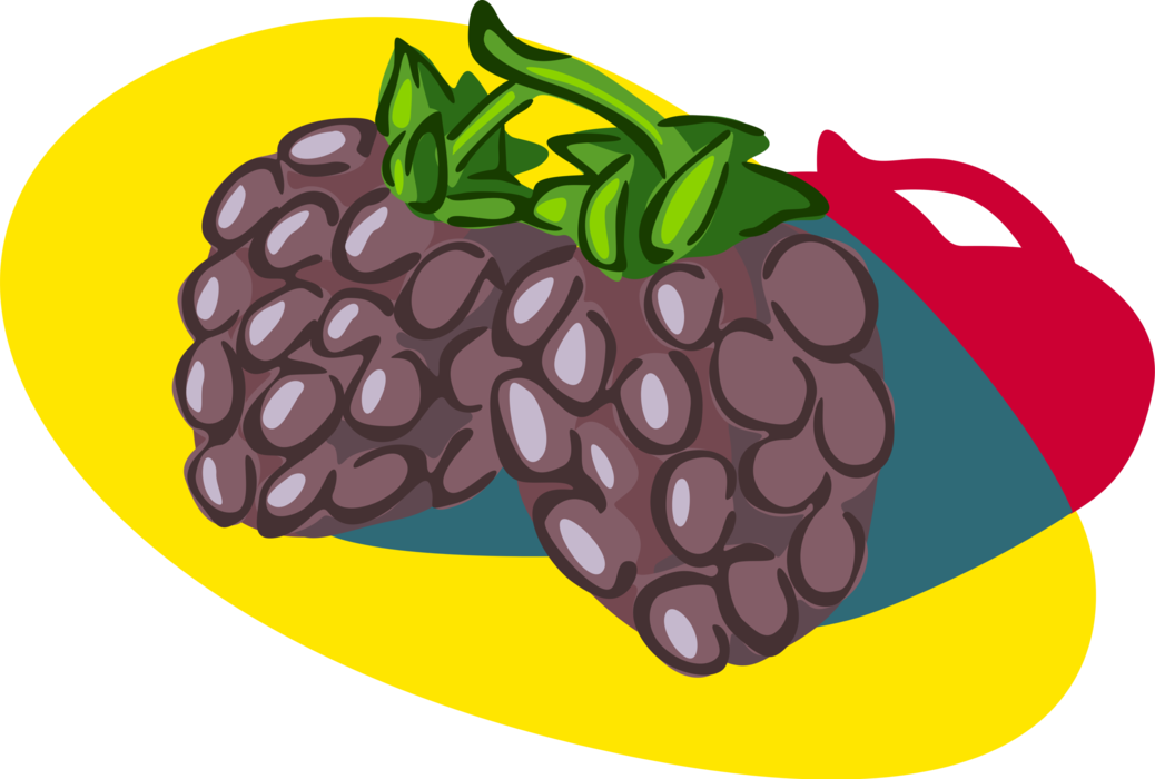 Vector Illustration of Bramble Fruit Blackberry Edible Fruit