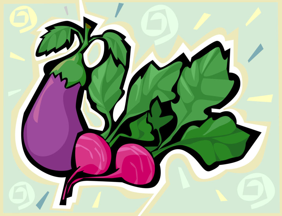 Vector Illustration of Eggplant Aubergine Nightshade Edible Vegetable, with Edible Root Radishes