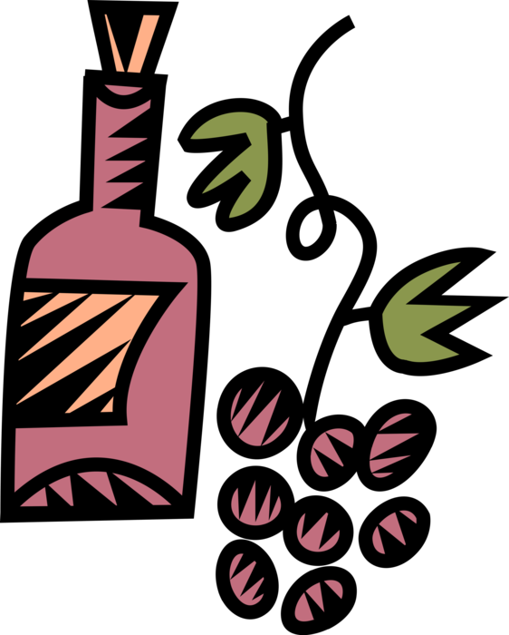 Vector Illustration of Wine Bottle Alcohol Beverage and Vineyard Fruit Grapes