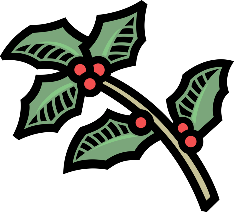 Vector Illustration of Traditional Christmas Holly Decoration