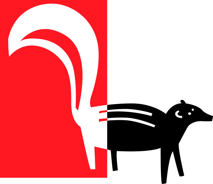 Vector Illustration of Omnivorous Small Mammal Skunk