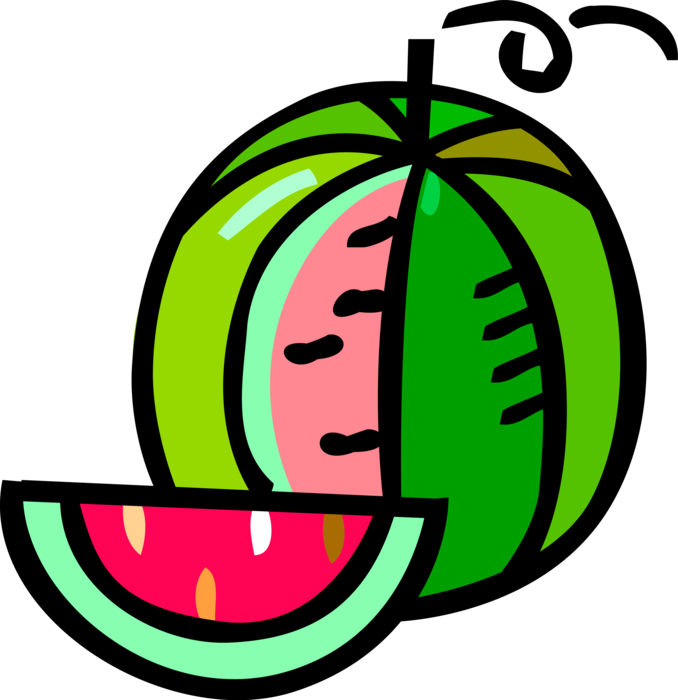 Vector Illustration of Watermelon Fruit Melon with Slice