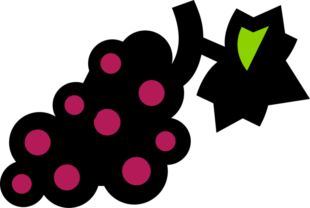 Vector Illustration of Fruit Grapes