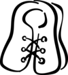 61kaucuyz7 vc045345