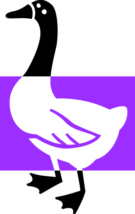 Vector Illustration of Waddling Duck Bird