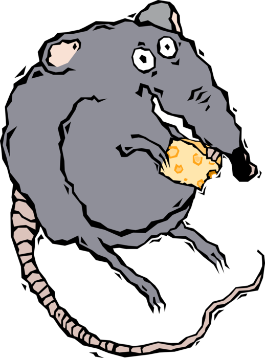 Vector Illustration of Rodent Rat Eating Cheese