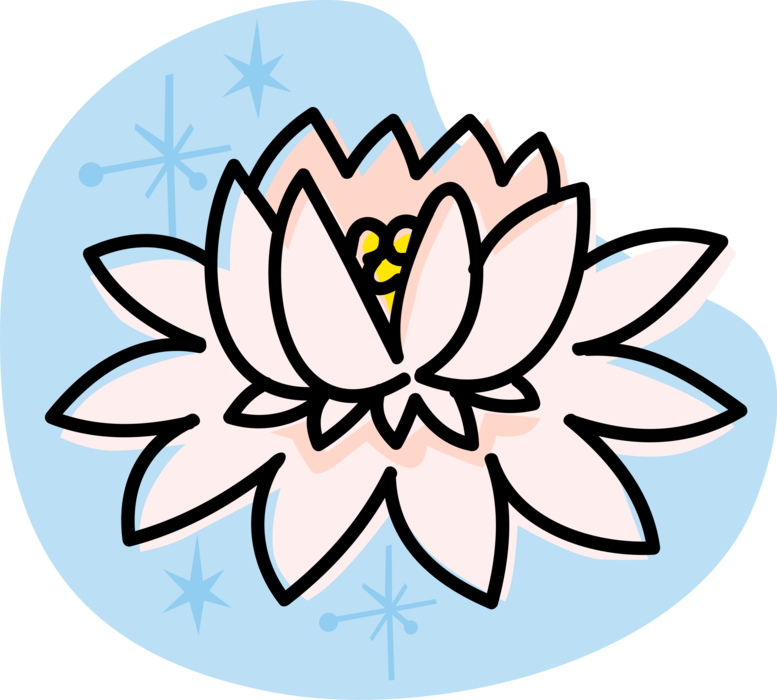 Vector Illustration of Water Lily Aquatic Plant with Leaves and Flowers Floating on Water Surface