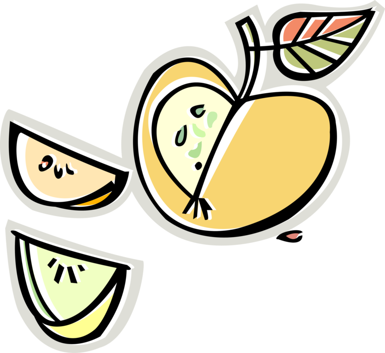 Vector Illustration of Pomaceous Edible Fruit Apple Wedges