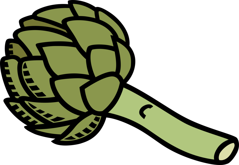 Vector Illustration of Sliced Edible Thistle Vegetable Artichoke