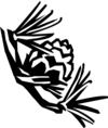 9o58zc9b4w vc029487