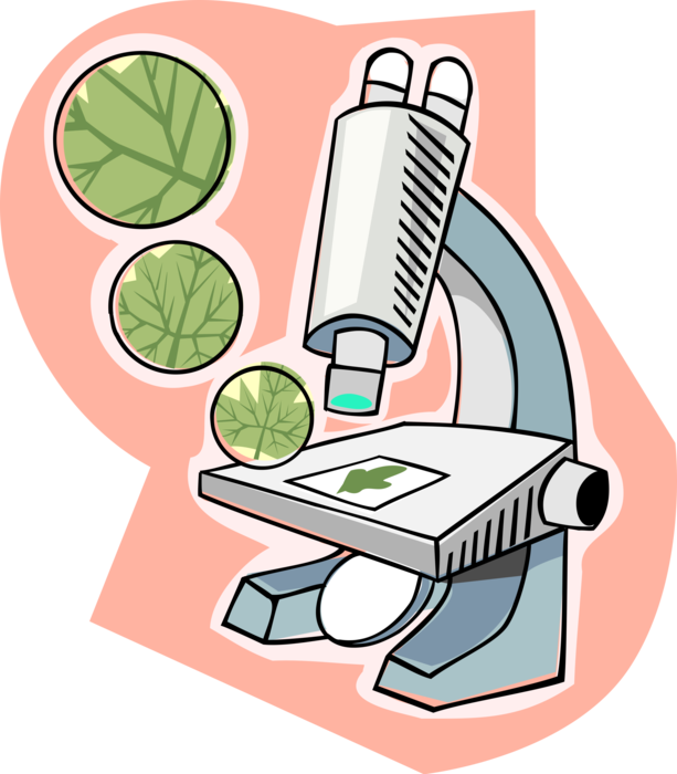Vector Illustration of Microscope Studies Plant Biology and Structure of Leaf