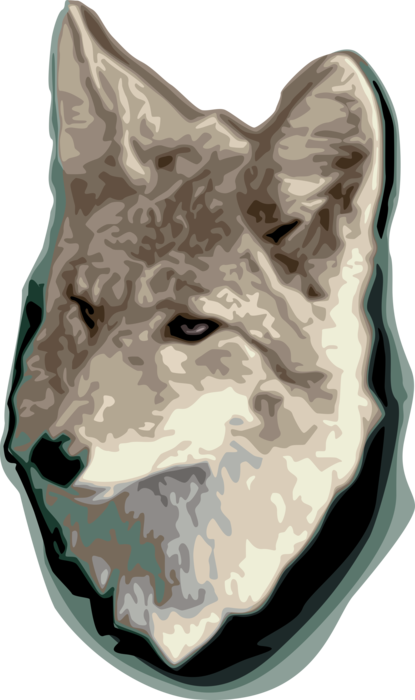 Vector Illustration of Silver Fox Omnivorous Mammal 