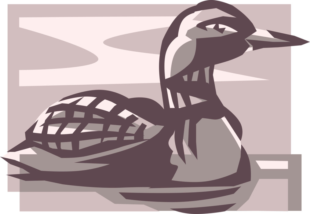 Vector Illustration of North American Aquatic Diving Bird Loon