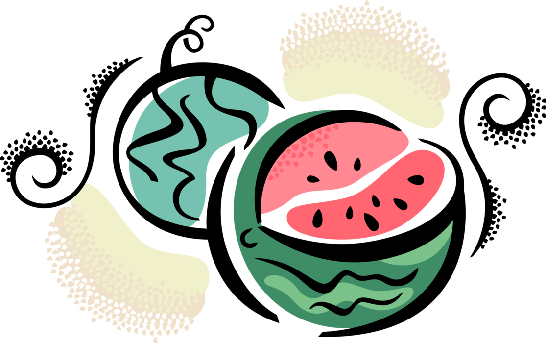 Vector Illustration of Watermelon Fruit Melon