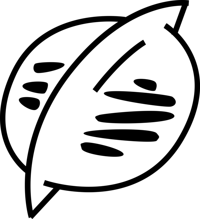 Vector Illustration of Planet Planetary Bodies in Orbit Around Sun in Solar System