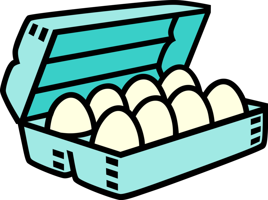Vector Illustration of Carton of Chicken Hen Eggs