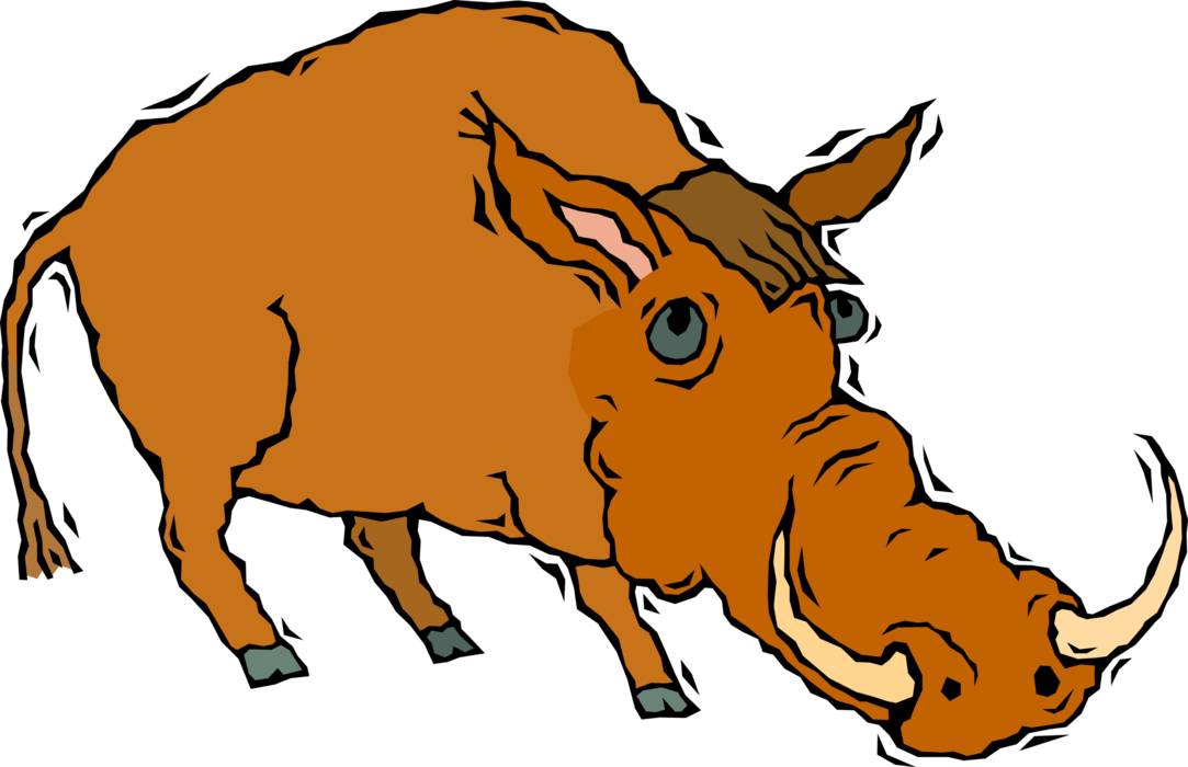 Vector Illustration of Wild Boar or Wild Swine Eurasian Wild Pig with Deadly Tusks