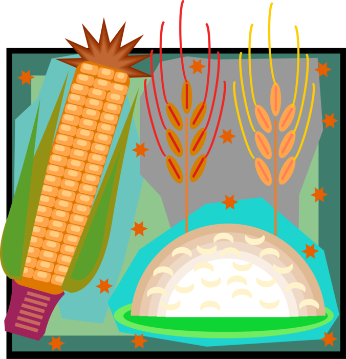 Vector Illustration of Farming and Agriculture Grain Crops, Corn, Oats, Wheat