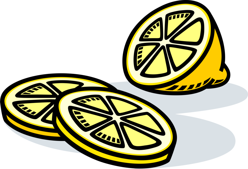 Vector Illustration of Citrus Fruit Lemon Slices
