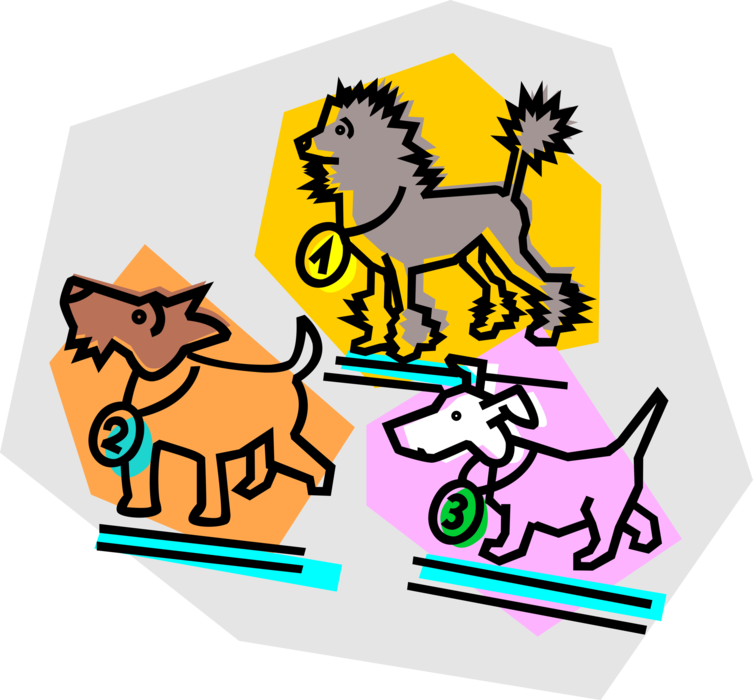 Vector Illustration of Family Pet Dog Conformation Dog Show Evaluates Individual Purebred Dogs