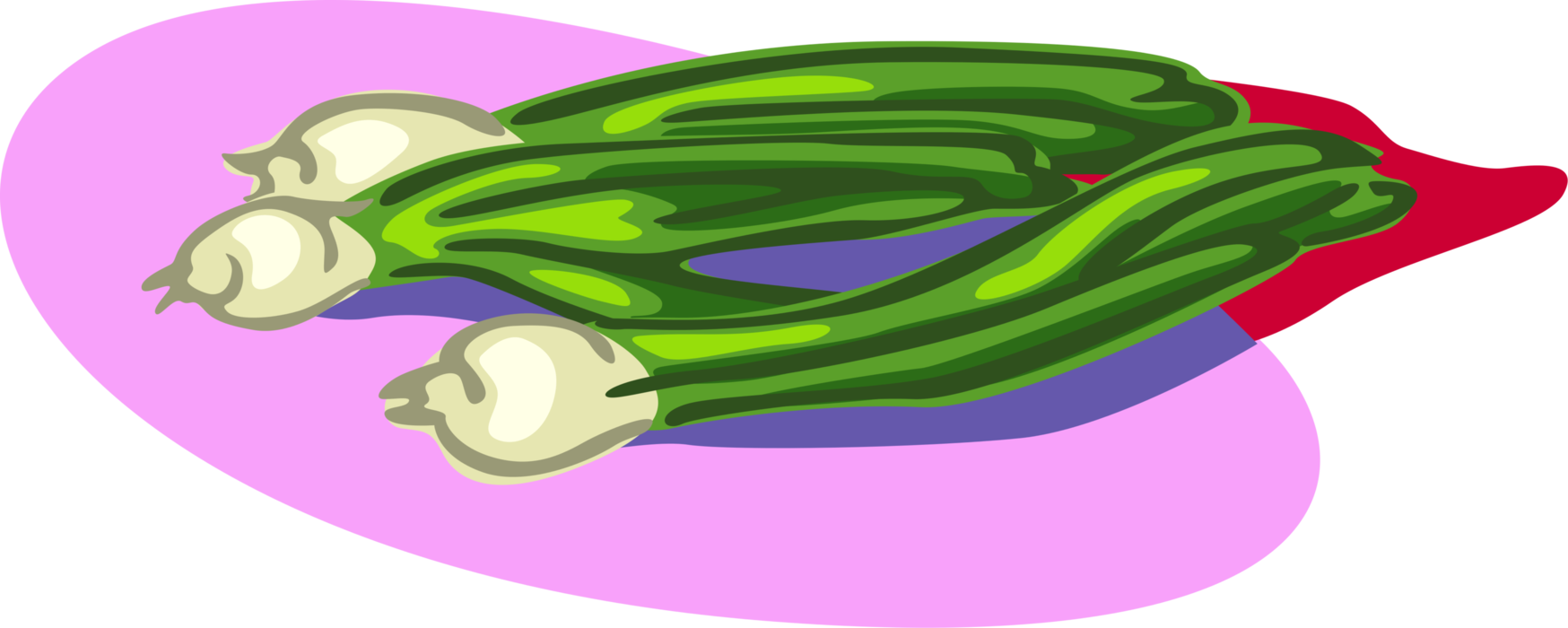 Vector Illustration of Scallion Onion Shallot Vegetable Eaten Raw or Cooked