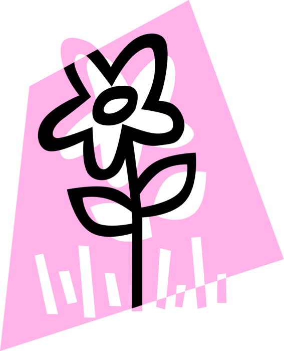 Vector Illustration of Daisy Flower in Garden
