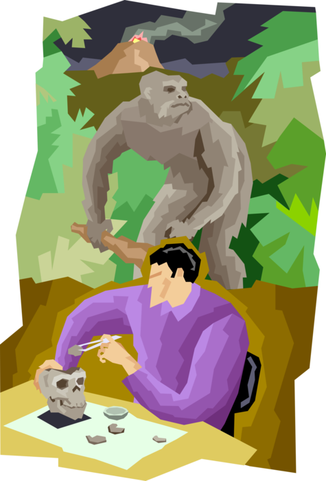 Vector Illustration of Anthropologist Builds Upon Knowledge from Social and Biological Sciences