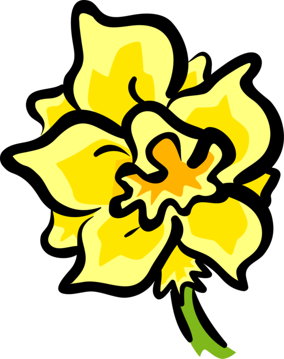 Vector Illustration of Easter Lily Flower Symbol of the Resurrection of Christ