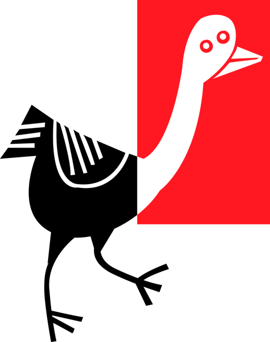 Vector Illustration of Waterfowl Duck Bird Waddles