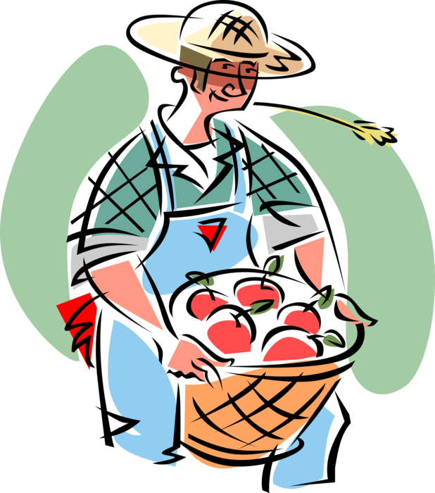 Vector Illustration of Farmer with Apple Orchard Harvest Basket of Red Fruit Apples