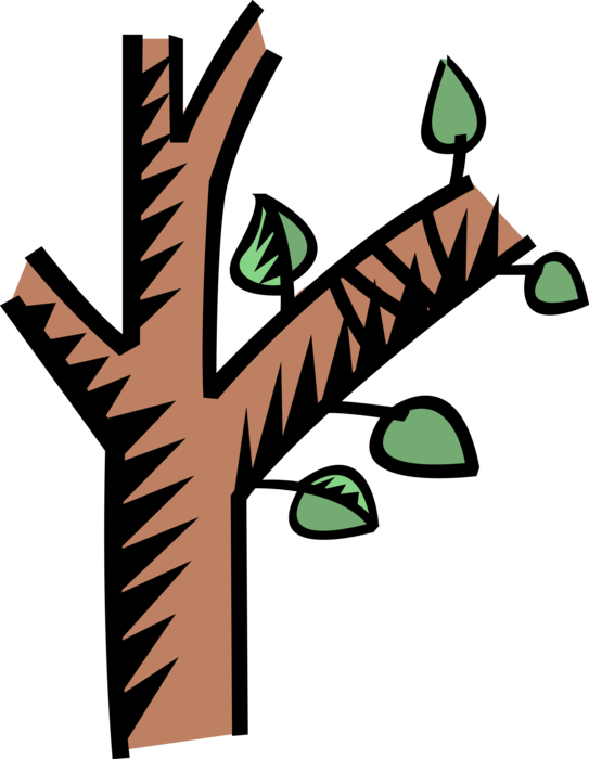 Vector Illustration of Deciduous Forest Tree Branch with Leaves