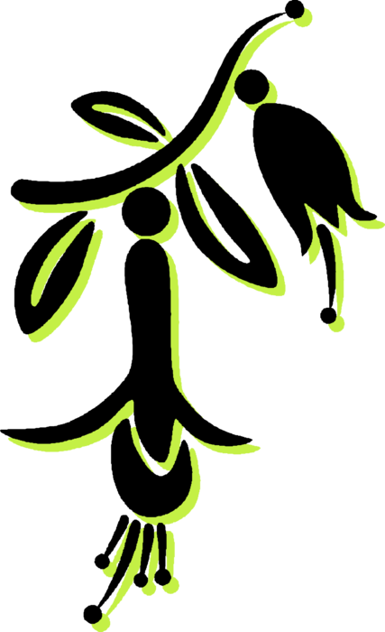 Vector Illustration of Fuchsia Blossom Botanical Horticulture Plant Flower on Stem with Leaves