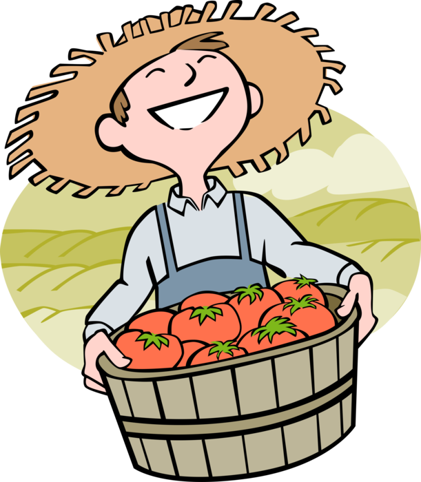 Vector Illustration of Farmer Carries Fresh Bushel of Tomato Vegetables