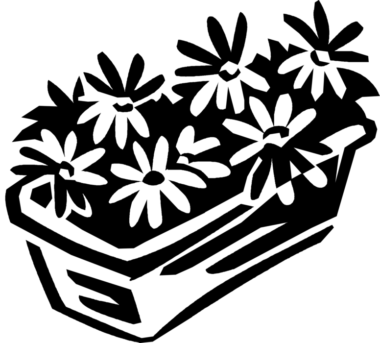 Vector Illustration of Botanical Horticulture Garden Flowers in Flower Box