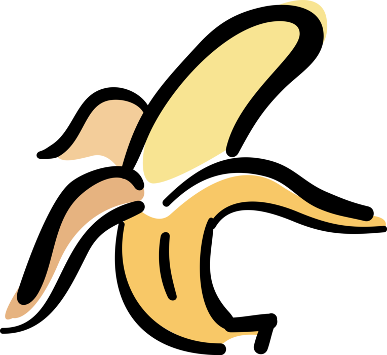 Vector Illustration of Soft, Sweet, Dessert Banana Edible Fruit 