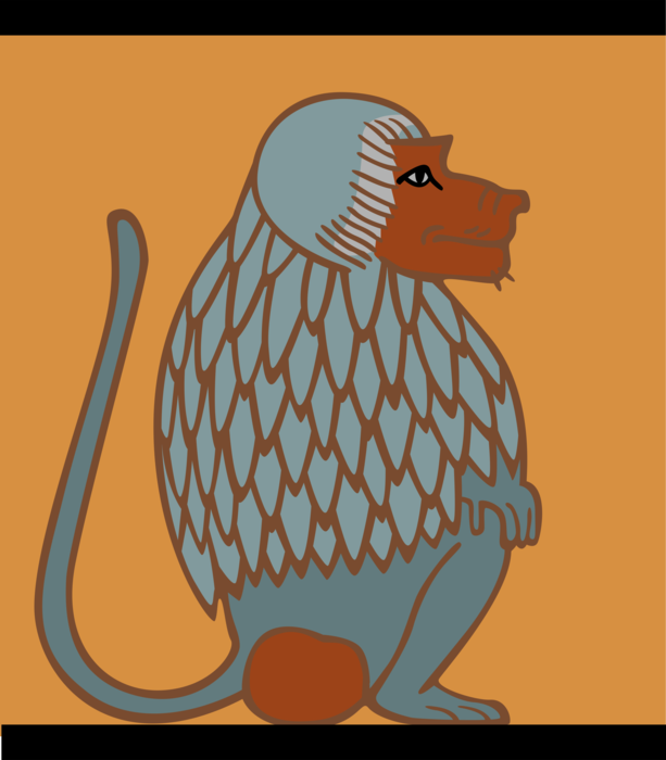 Vector Illustration of Baboon Primate Monkey