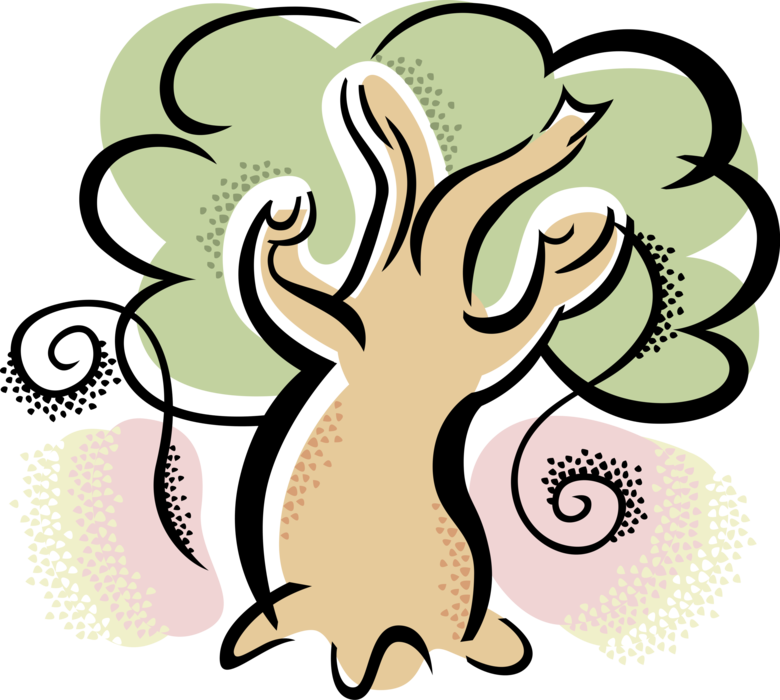 Vector Illustration of Deciduous Forest Tree in Summer