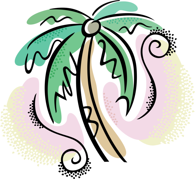 Vector Illustration of Arecaceae Palm Tree with Coconuts