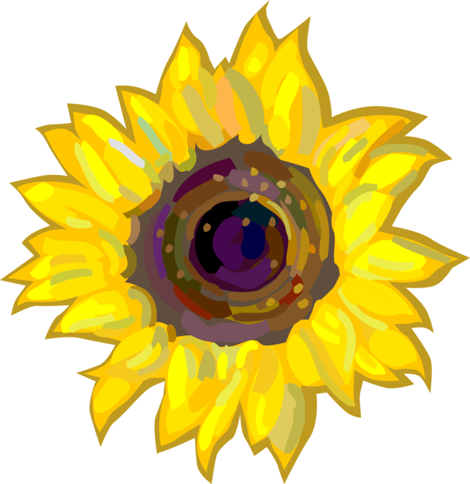 Vector Illustration of Sunflower Flower Growing in Garden