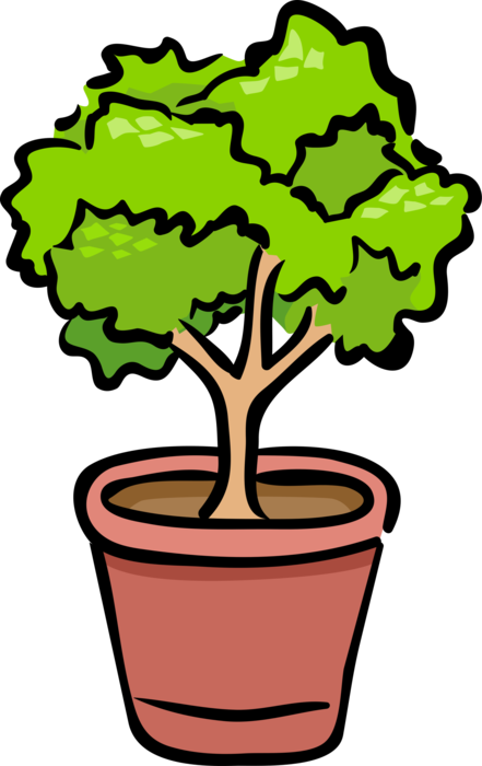 Vector Illustration of Potted Plant Shrub or Bush