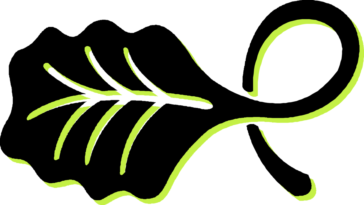 Vector Illustration of Vascular Botanical Horticulture Plant Foliage Leaf