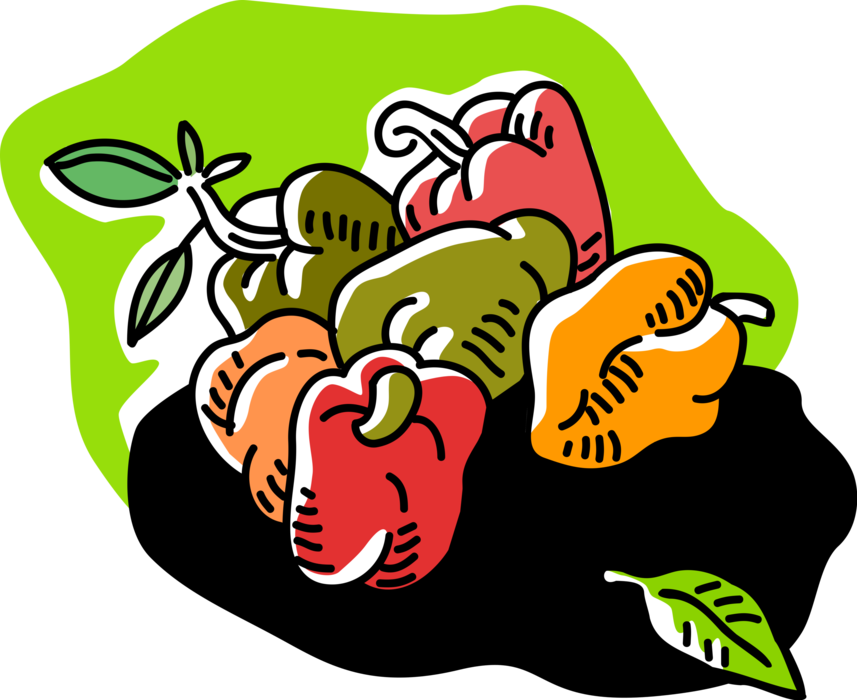 Vector Illustration of Sweet Bell Peppers from Garden