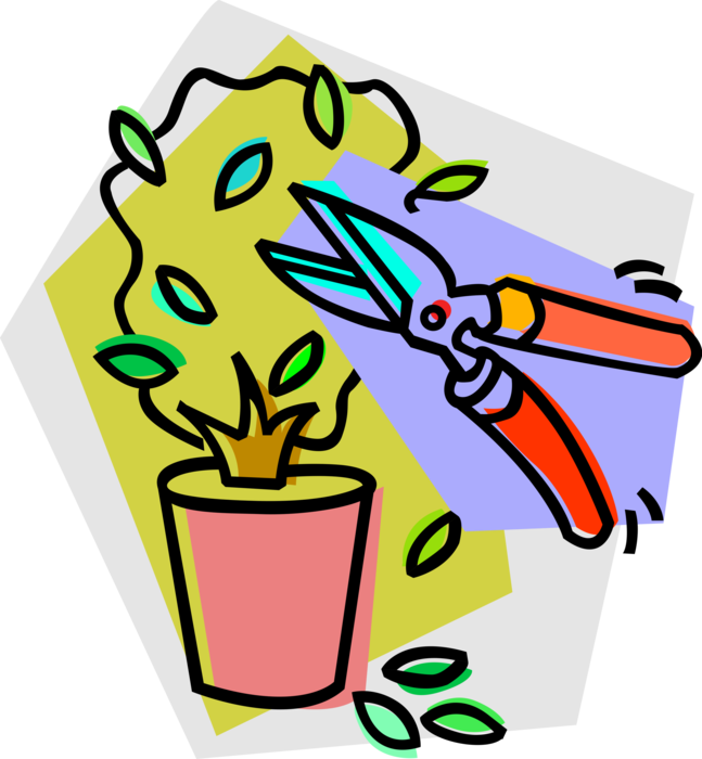 Vector Illustration of Pruning Potted Plant with Garden Shears