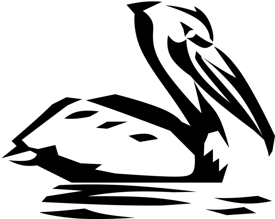 Vector Illustration of Large Water Bird Pelican