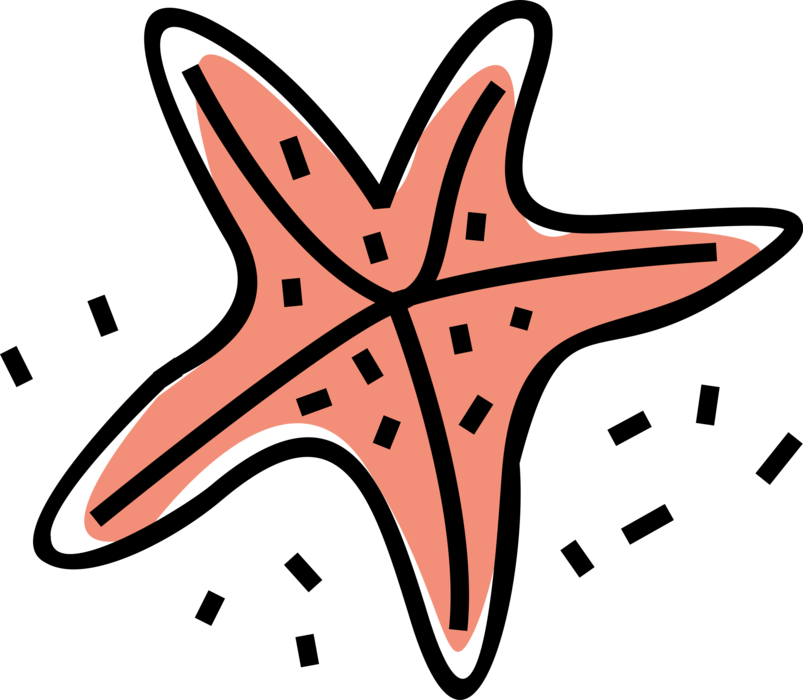 Vector Illustration of Marine Invertebrate Starfish