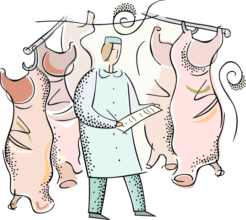 Vector Illustration of Butcher in Retail or Wholesale Meat Shop Takes Inventory in Meat Locker with Sides of Beef