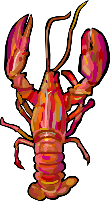 Vector Illustration of Cooked Clawed Lobster Seafood Shellfish Marine Crustacean